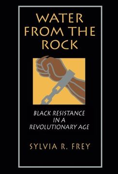 portada Water From the Rock: Black Resistance in a Revolutionary age (en Inglés)