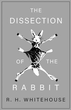 portada The Dissection of the Rabbit (in English)