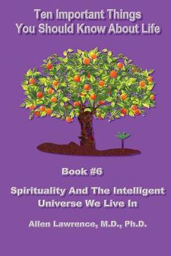 portada Ten Important Things You Should Know About life: Book #6 - Spirituality And The Intelligent Universe We Live In