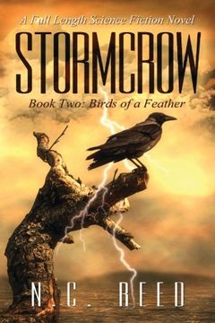 portada Birds of a Feather: Volume 2 (Stormcrow) (en Inglés)