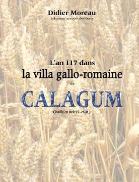 portada L'an 117 dans la villa gallo-romaine de Calagum (en Francés)