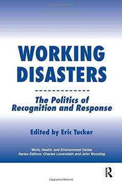 portada Working Disasters: The Politics of Recognition and Response (en Inglés)