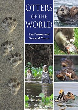 portada Otters of the World (en Inglés)