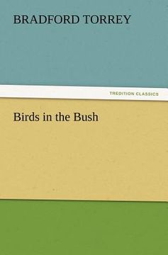 portada birds in the bush (en Inglés)