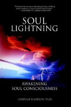 portada soul lightning: awakening soul consciousness (en Inglés)
