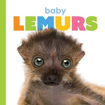 portada Baby Lemurs (en Inglés)