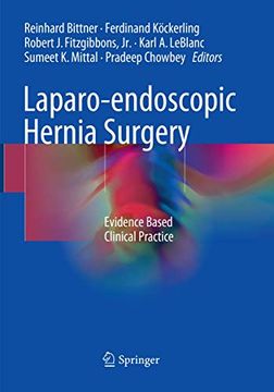 portada Laparo-Endoscopic Hernia Surgery: Evidence Based Clinical Practice (en Inglés)