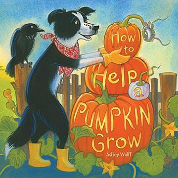 portada How to Help a Pumpkin Grow 