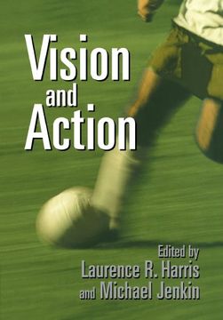 portada Vision and Action (en Inglés)