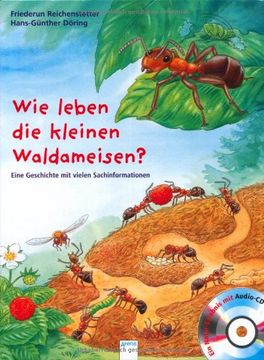 portada Wie leben die kleinen Waldameisen?: Eine Geschichte mit vielen Sachinformationen (en Alemán)
