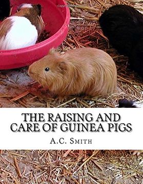 portada The Raising and Care of Guinea Pigs: A Complete Guide to the Breeding and Exhibiting of Domestic Cavies