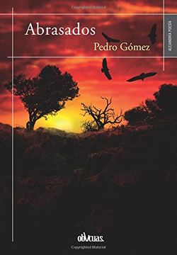 portada ABRASADOS (Spanish Edition)