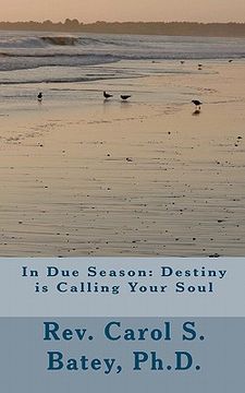 portada in due season: destiny is calling your soul (en Inglés)