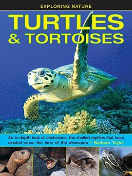 portada Exploring Nature: Turtles & Tortoises: An In-Depth Look at Chelonians, the Shelled Reptiles That Have Existed Since the Time of the Dinosaurs (en Inglés)