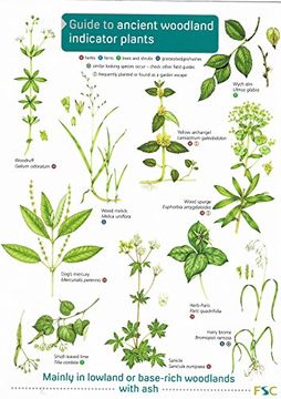 portada Guide to Ancient Woodland Indicator Plants 