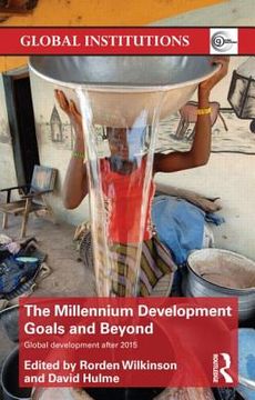 portada the millennium development goals and beyond