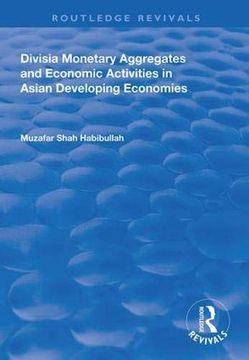 portada Divisia Monetary Aggregates and Economic Activities in Asian Developing Economies