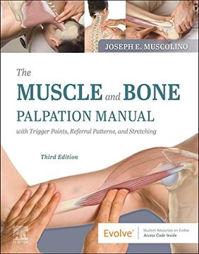 portada The Muscle and Bone Palpation Manual With Trigger Points, Referral Patterns and Stretching (en Inglés)