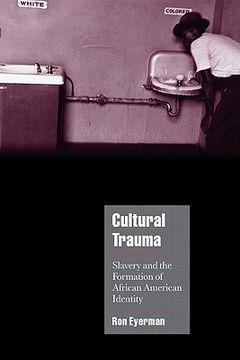 portada Cultural Trauma Hardback: Slavery and the Formation of African American Identity (Cambridge Cultural Social Studies) (in English)