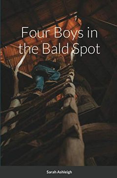 portada Four Boys in the Bald Spot (in English)