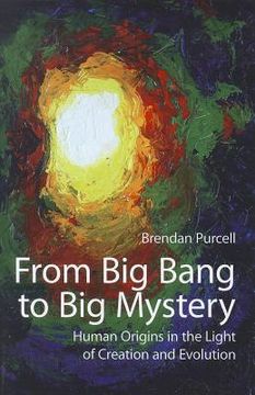 portada from big bang to big mystery (en Inglés)