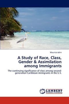 portada a study of race, class, gender & assimilation among immigrants (en Inglés)