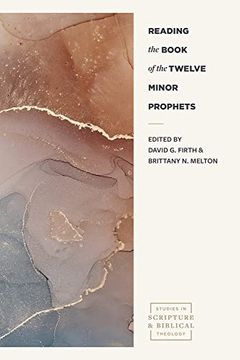 portada Reading the Book of the Twelve Minor Prophets (Studies in Scripture and Biblical Theology) (in English)
