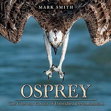 portada Osprey: The Glorious Pursuit of Unbridled Determination (en Inglés)