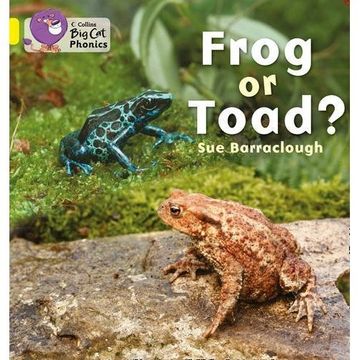 portada Frog or Toad? - Yellow Band 3 -Big cat Phonics (en Inglés)
