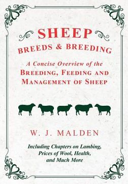 portada Sheep Breeds and Breeding - A Concise Overview of the Breeding, Feeding and Management of Sheep, Including Chapters on Lambing, Prices of Wool, Health (en Inglés)