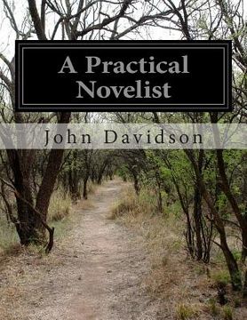 portada A Practical Novelist (in English)