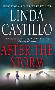 portada After the Storm (Kate Burkholder Novels) (in English)