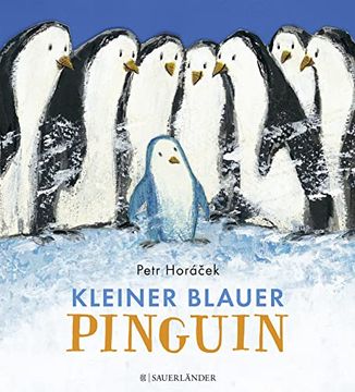 portada Kleiner Blauer Pinguin (en Alemán)