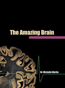 portada The Amazing Brain (in English)