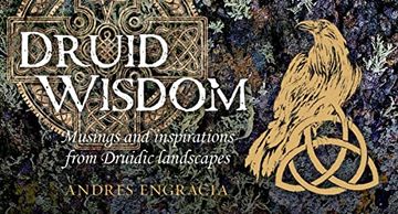 portada Druid Wisdom: 40 Full-Color Inspiration Cards (Mini Inspiration Cards) (en Inglés)