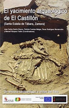 portada El yacimiento arqueológico de El Castillón, Santa Eulalia de Tábara, Zamora : un enclave tardoantiguo a orillas del Esla (in Spanish)