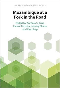 portada Mozambique at a Fork in the Road: The Institutional Diagnostic Project (in English)