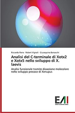 portada Analisi del C-terminale di Xotx2 e Xotx5 nello sviluppo di X. laevis