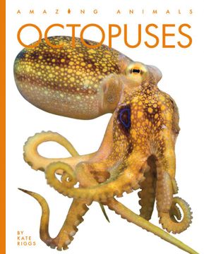 portada Octopuses (Amazing Animals) (in English)