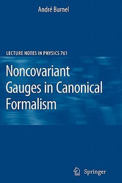 portada noncovariant gauges in canonical formalism