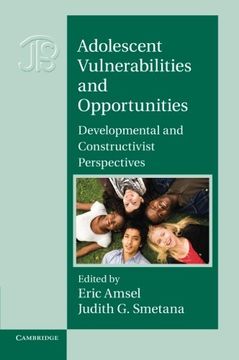 portada Adolescent Vulnerabilities and Opportunities: Developmental and Constructivist Perspectives (Interdisciplinary Approaches to Knowledge and Development) (in English)