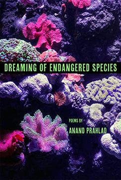 portada Dreaming of Endangered Species (en Inglés)