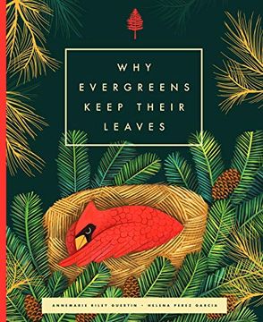 portada Why Evergreens Keep Their Leaves (en Inglés)