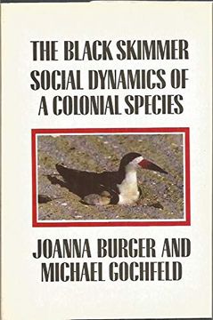 portada The Black Skimmer: Social Dynamics of a Colonial Species (in English)