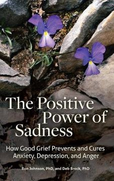 portada The Positive Power of Sadness: How Good Grief Prevents and Cures Anxiety, Depression, and Anger (Psychology, Religion, and Spirituality)