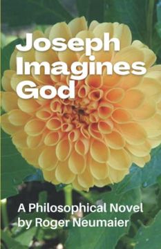 portada Joseph Imagines God: A Philosophical Novel (in English)