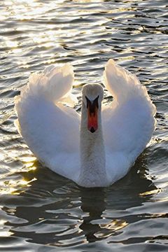 portada The Swan Not