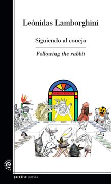 portada siguiendo al conejo. following the rabbit (in Spanish)