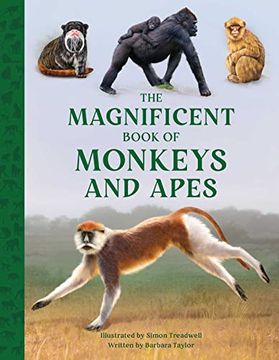 portada The Magnificent Book of Monkeys and Apes (en Inglés)