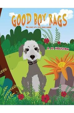 portada Good boy Rags 